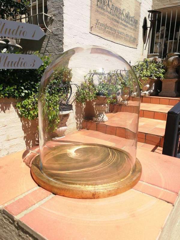 Glass Dome cloche with hand gilded wooden base