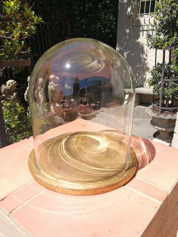 Glass Dome cloche with hand gilded wooden base