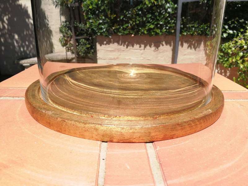 Glass Dome cloche with hand gilded wooden base