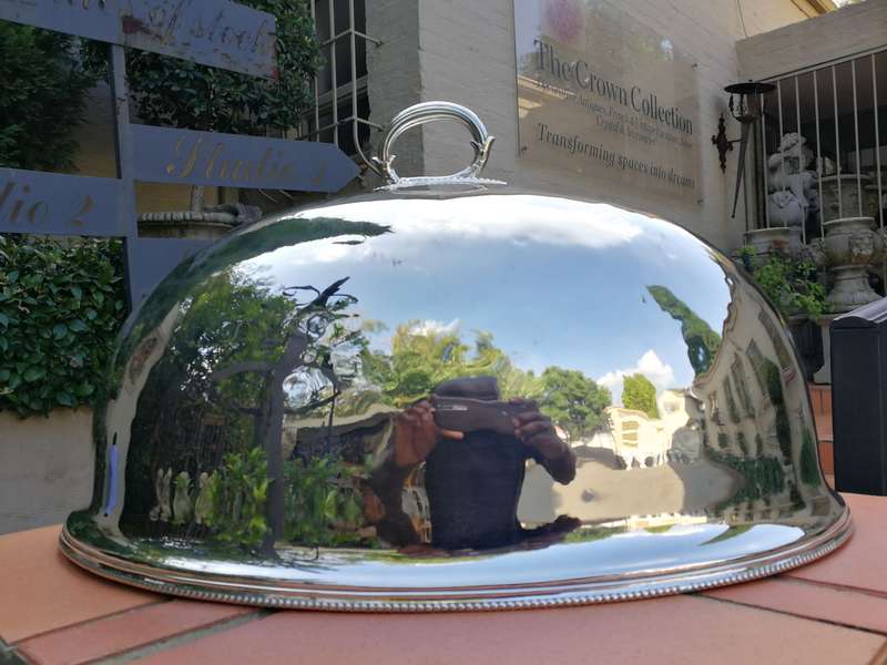 A Very Large Epns Food Dome