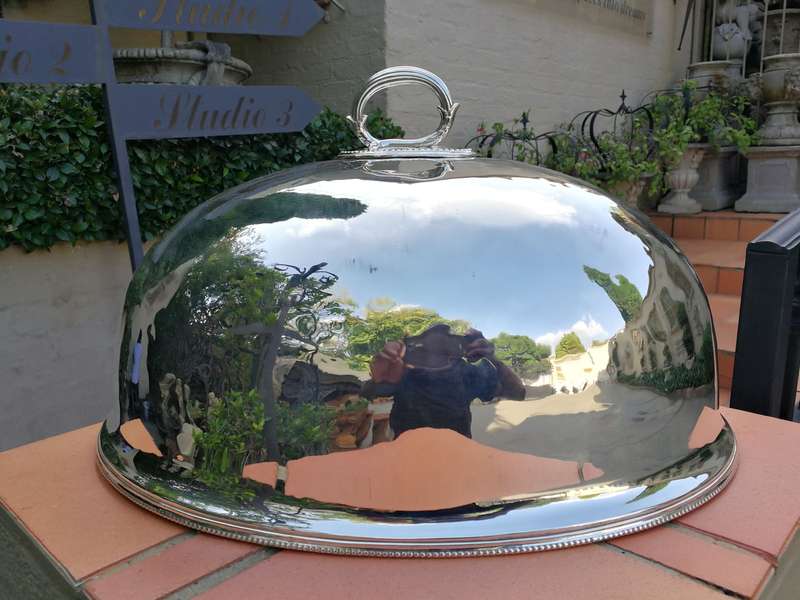 A Very Large Epns Food Dome
