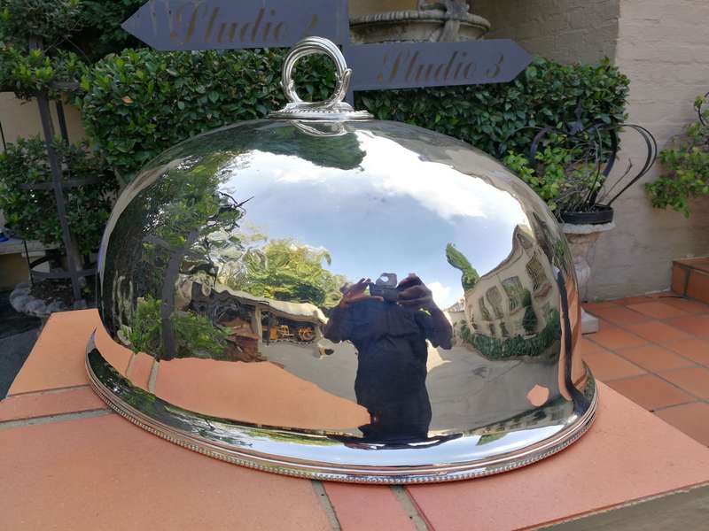 A Very Large Epns Food Dome