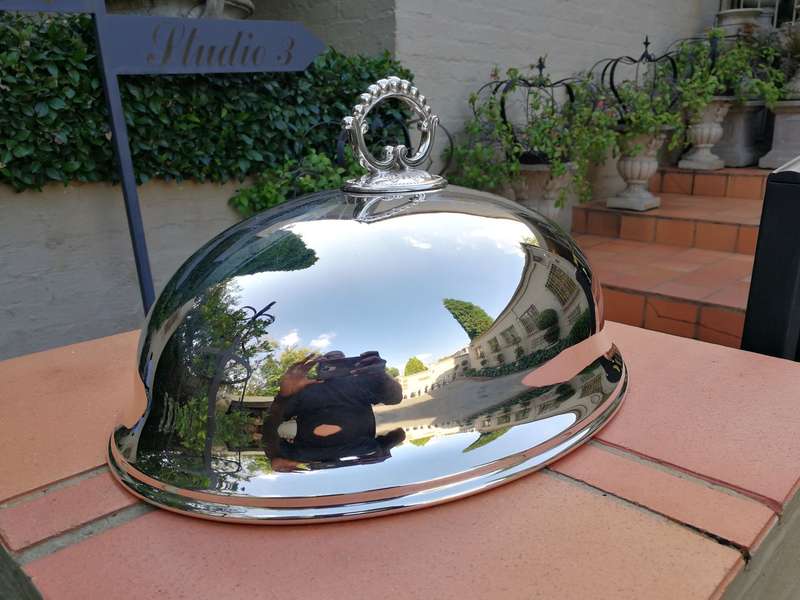 An Epns Food Dome