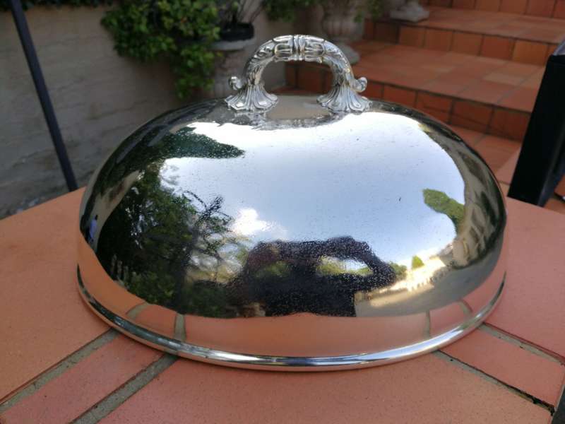 An Epns Food Dome
