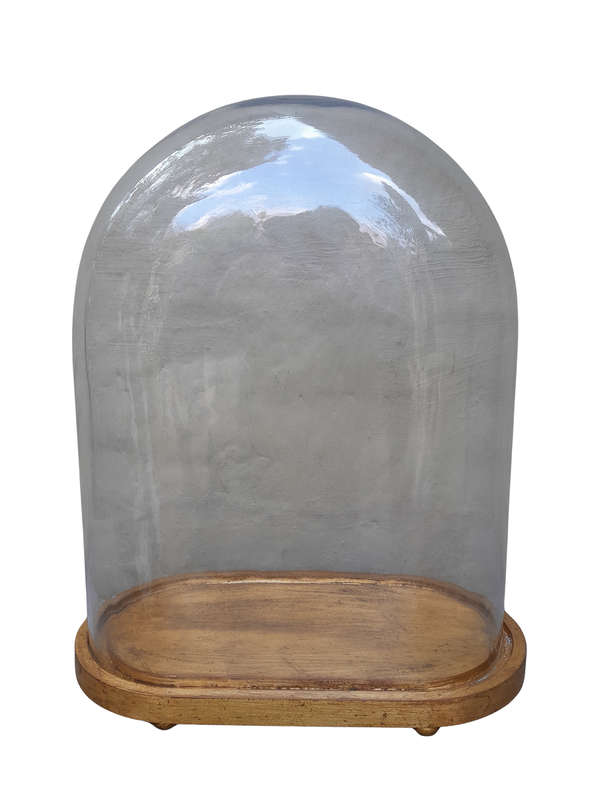 An Extra Large Dome Cloche on a Hand Gilded Wooden Base with Feet