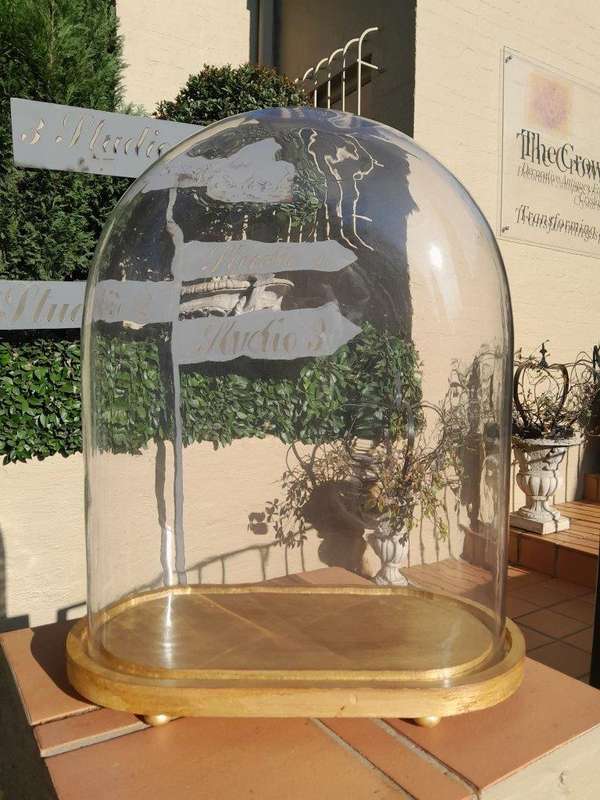 An Extra Large Dome Cloche on a Hand Gilded Wooden Base with Feet