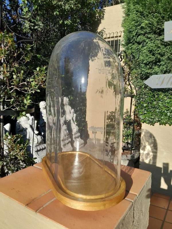 An Extra Large Dome Cloche on a Hand Gilded Wooden Base with Feet