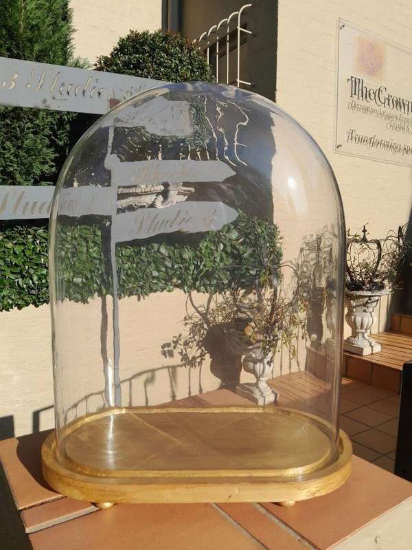 An Extra Large Dome Cloche on a Hand Gilded Wooden Base with Feet