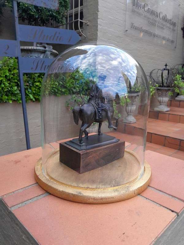 A Bronze Male Figurine On Horseback On Wooden Base In A Glass Cloche