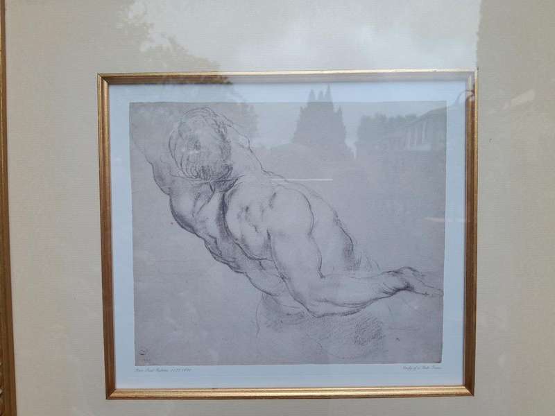 A 20th Century Study Of Torso Photolithograph After Peter Paul Rubens In A Gilded Frame