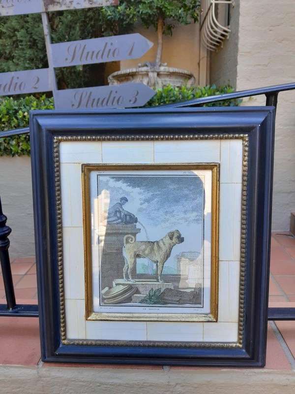A Le Dogun PL XLIV Pug Etching Print On Paper In A Black Frame