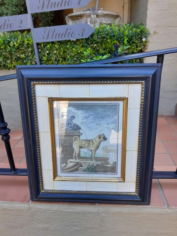 A Le Dogun PL XLIV Pug Etching Print On Paper In A Black Frame