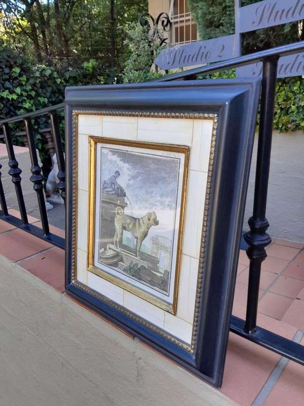 A Le Dogun PL XLIV Pug Etching Print On Paper In A Black Frame