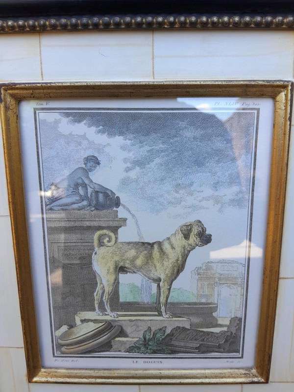 A Le Dogun PL XLIV Pug Etching Print On Paper In A Black Frame