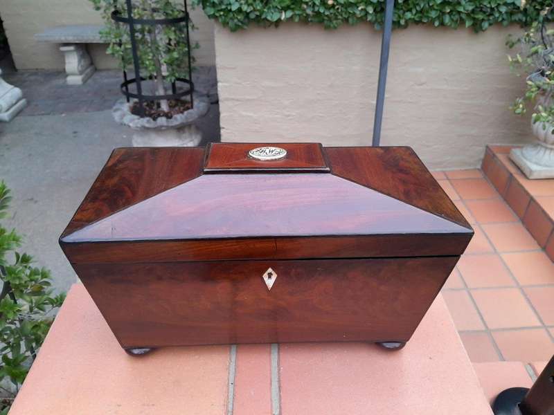 An antique 19th Century Mahogany Tea Caddy with Brass Lions Head Handles