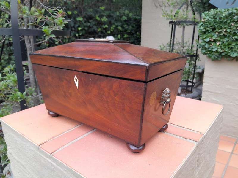 An antique 19th Century Mahogany Tea Caddy with Brass Lions Head Handles