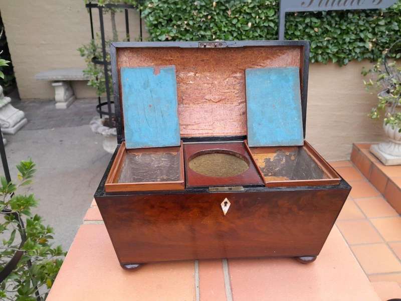 An antique 19th Century Mahogany Tea Caddy with Brass Lions Head Handles