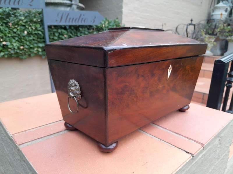 An antique 19th Century Mahogany Tea Caddy with Brass Lions Head Handles