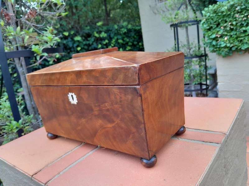An Antique Regency Walnut Tea Caddy