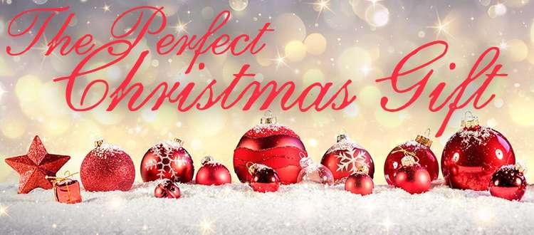 https://www.trueaimeducation.com/wp-content/uploads/2016/12/The-Perfect-Christmas-Gift.jpg
