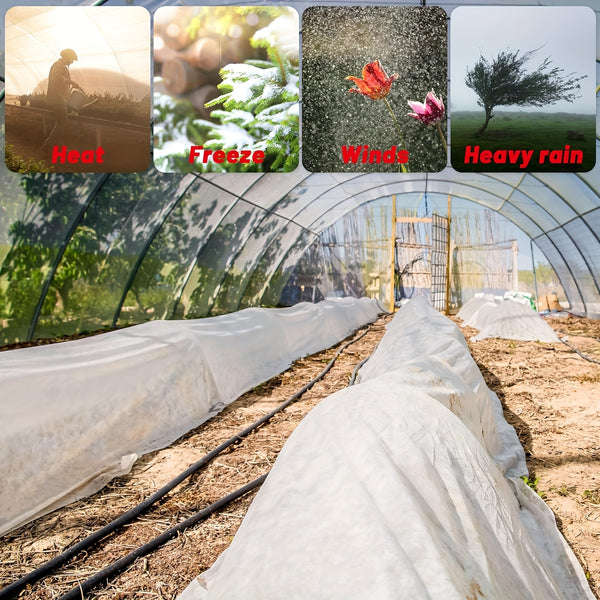 1 Piece Clear Plastic Film