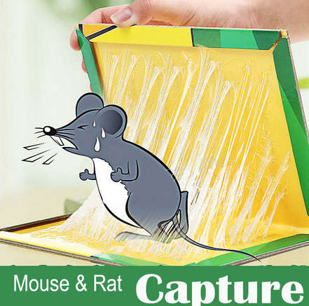 Mouse Rat Bond Traps Glue Trap