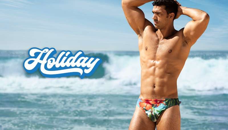 Holiday Briefs Bliss