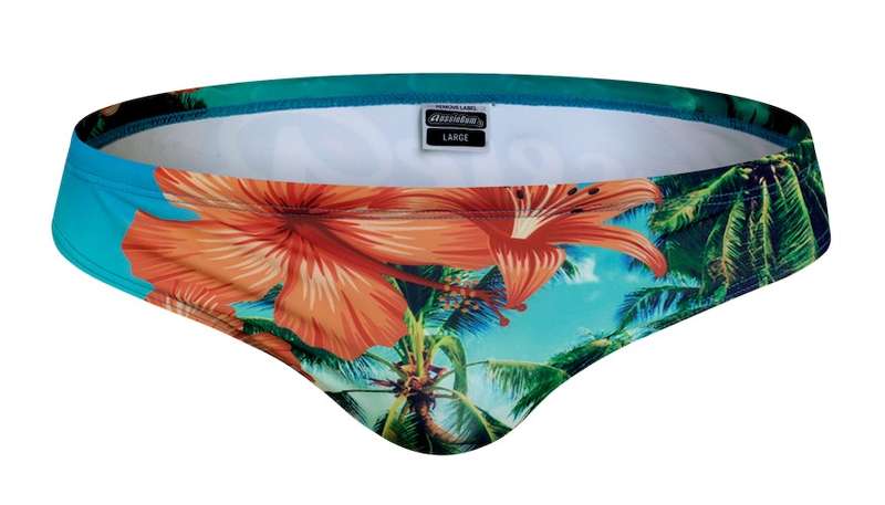 Holiday Briefs Bliss