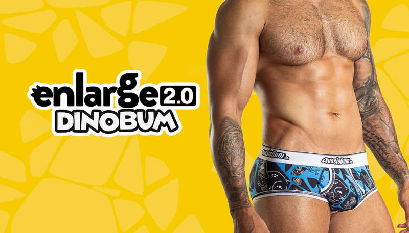Enlarge 2.0 Brief Dino Blue