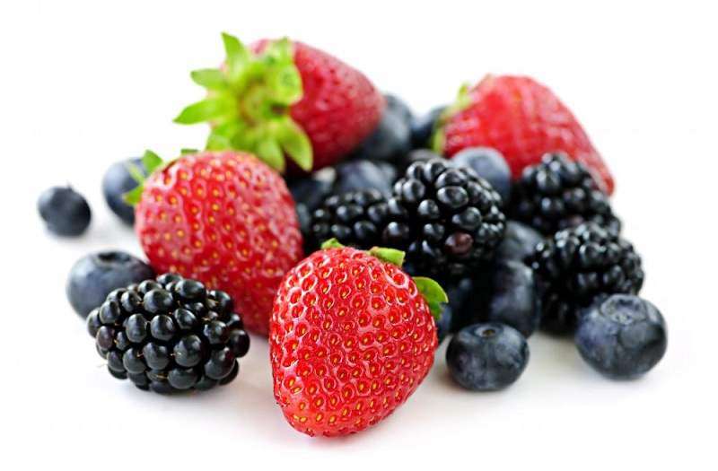 Berries | 10ml Concentrated Flavor for Eliquid | Self Mixing