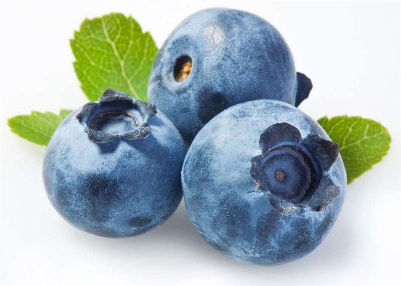Blueberry | 10ml Concentrated Flavor for Eliquid | Self Mixing