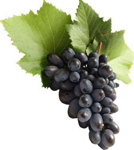 Grape | 10ml Concentrated Flavor for Eliquid | Self Mixing