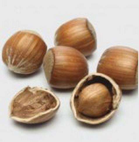 Flavor West Hazelnut | 10ml Concentrated Flavor for Eliquid | Self Mixing