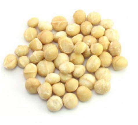 Flavor West Macadamia Nut | 10ml Concentrated Flavor for Eliquid | Self Mixing