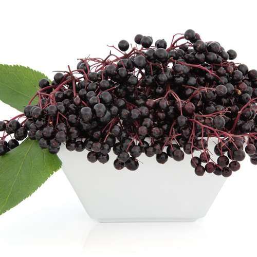 TFA / TPA ElderBerry | 10ml Concentrated Flavor for Eliquid | Self Mixing