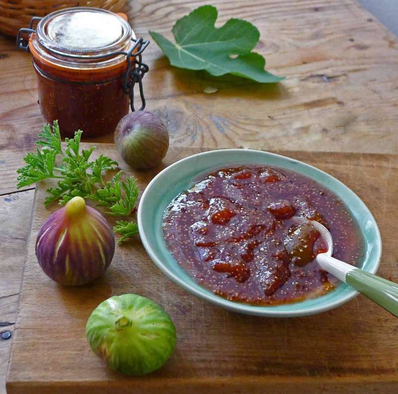 Fig Jam | 10ml Concentrated Flavor for Eliquid | Self Mixing