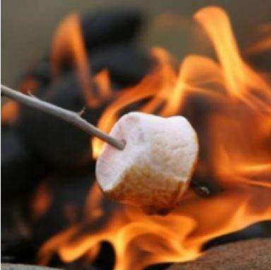 Flavor West Toasted Marshmallow | 10ml Concentrated Flavor for Eliquid | Self Mixing