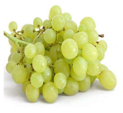 Flavor West White Grape | 10ml Concentrated Flavor for Eliquid | Self Mixing