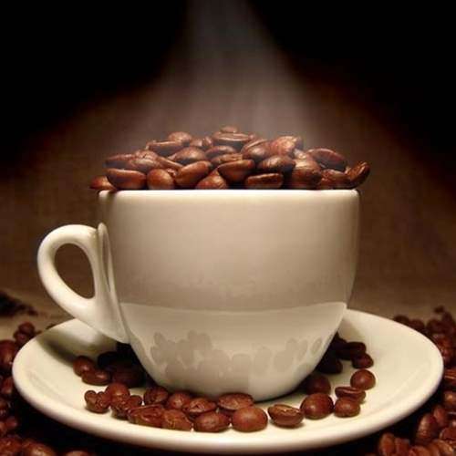 TFA / TPA Mocha (Chocolate Coffee) | 10ml Concentrated Flavor for Eliquid | Self Mixing