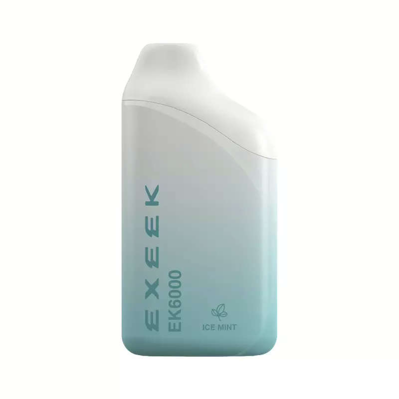 Exeek Disposable Vape 6000 Puffs 50mg Nic | Ice Mint | 14 ml Tank | USB C Rechargeable Battery