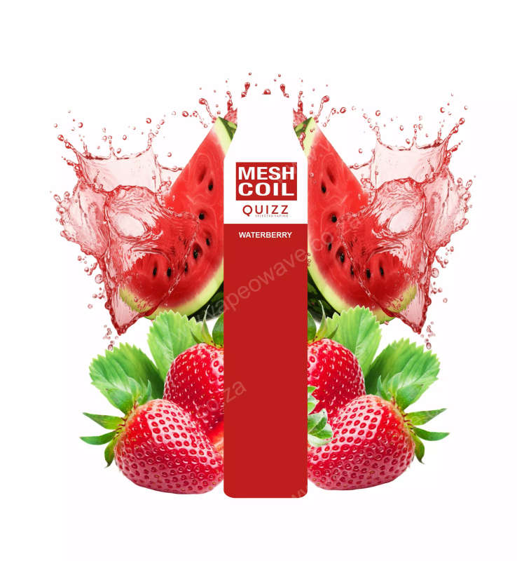 Quizz Mesh Coil Disposable Vape 5500 Puffs 20mg Nic | Waterberry | 15 ml Tank | USB C Rechargeabl...