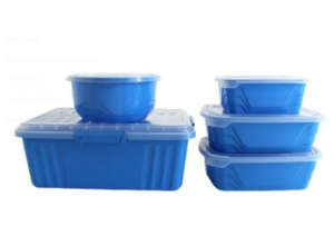 Set of 5 Piece Storage Containers with Lids