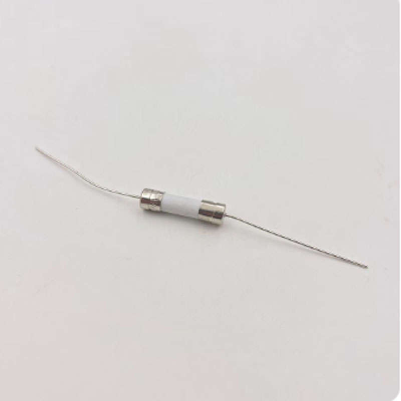 PS4 Power Supply Ceramic Fuse 5A Axial 250V T5A