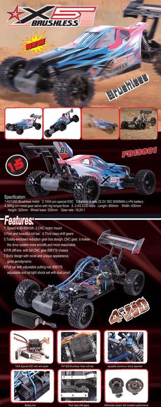 FS-Racing 1/5 Brushless Buggy Car  ( FS13601 ) (No Battery) - FS-Racing 20kg