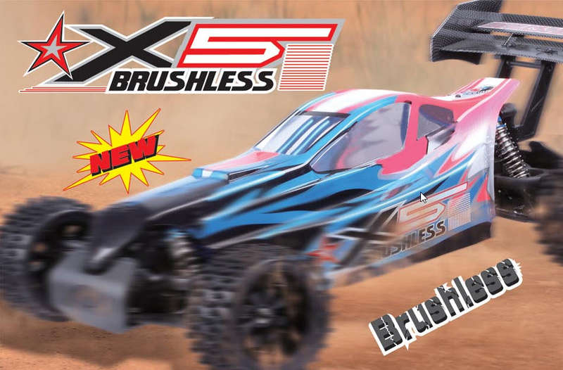 FS-Racing 1/5 Brushless Buggy Car  ( FS13601 ) (No Battery) - FS-Racing 20kg