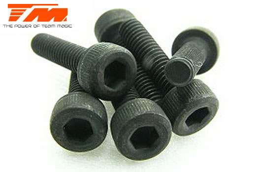 Screws - Cap Head - Hex (Allen) - M3 x 12mm (6 pcs) - 126312C - 0.10kg