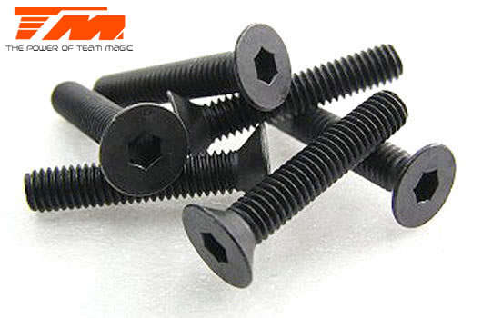 Screws - Flat Head - Hex (Allen) - M3 x 16mm (6 pcs) - 126316 - 0.10kg