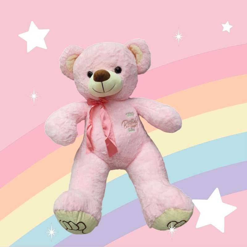 Teddy Bears Cuddly Soft All colours Stuffed Soft Plush Toys
