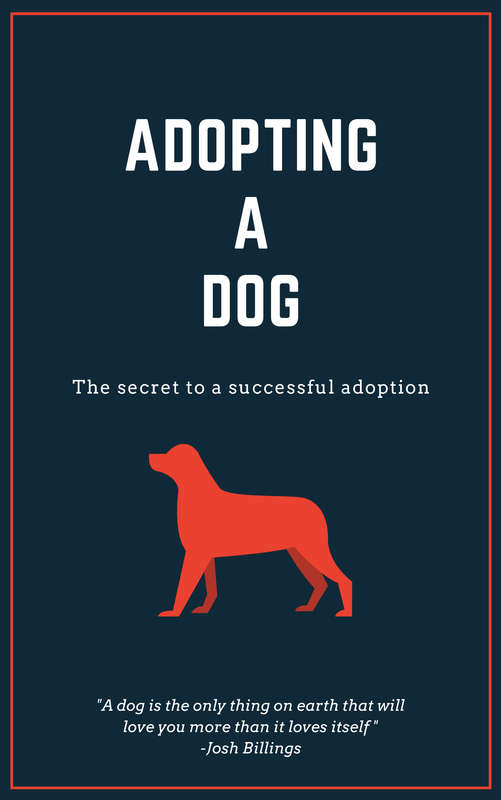 Adopting a dog - eBook