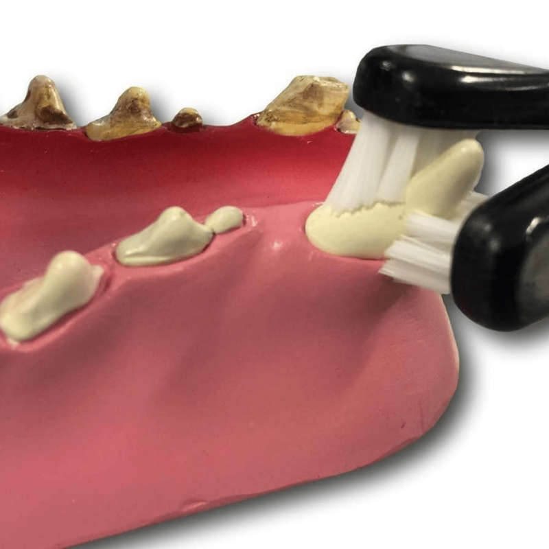 Petosan Pet Dental Kit, Double Headed Toothbrush and Toothpaste